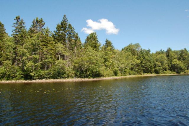 Immobilien Kanada Lot 4 am Four Island Lake