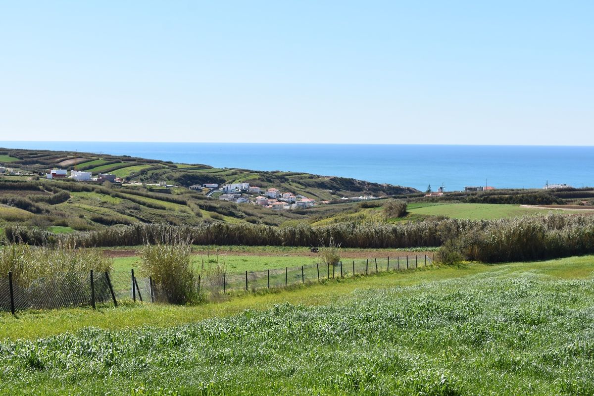  Luxury villa - Porto Dinheiro beach